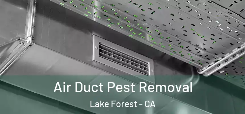 Air Duct Pest Removal Lake Forest - CA