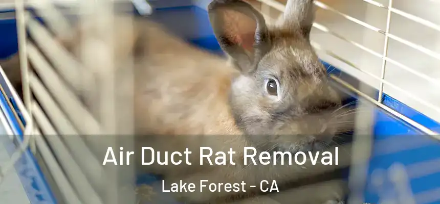 Air Duct Rat Removal Lake Forest - CA