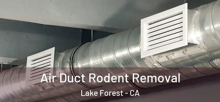 Air Duct Rodent Removal Lake Forest - CA