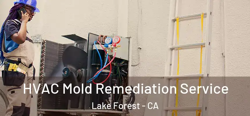 HVAC Mold Remediation Service Lake Forest - CA