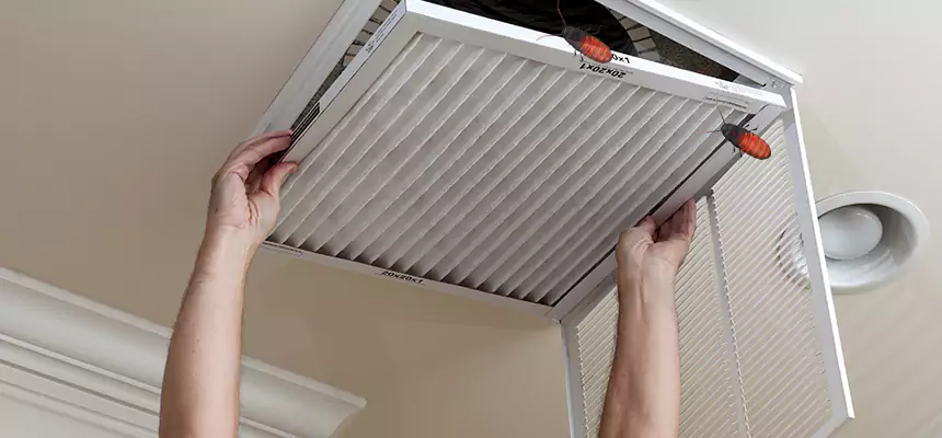 Preventive Cockroach-Proofing for Ducts in Lake Forest