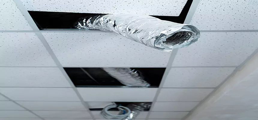 Our Air Duct Pet Hair Removal Services in Lake Forest, CA