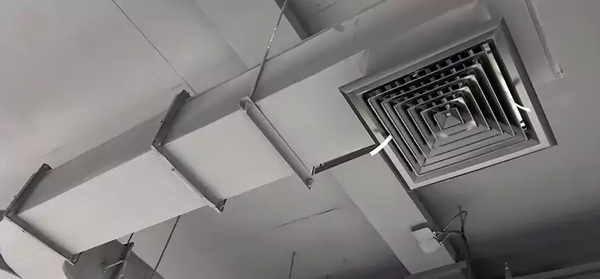 Restorative Allergy Relief Vent Cleaning – Coil, Blower & Housing Detail in Lake Forest