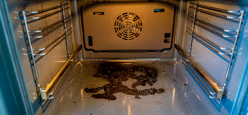 Our Dryer Vent Mold Cleaning Services in Lake Forest, CA