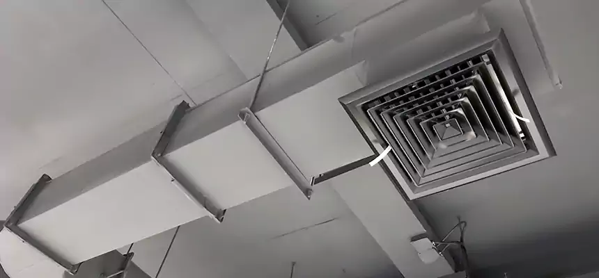 Our Pest Removal From Ducts Services in Lake Forest, CA