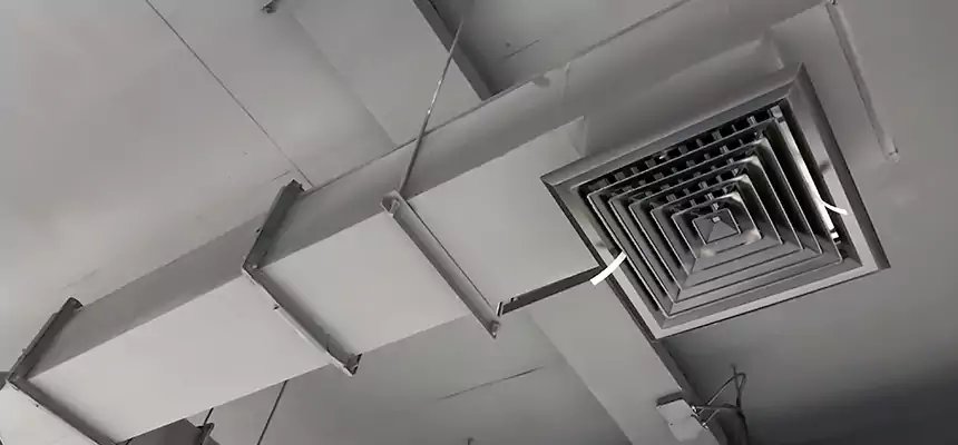 Our Rodent Droppings In Vents Services in Lake Forest, CA