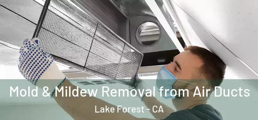 Mold & Mildew Removal from Air Ducts Lake Forest - CA