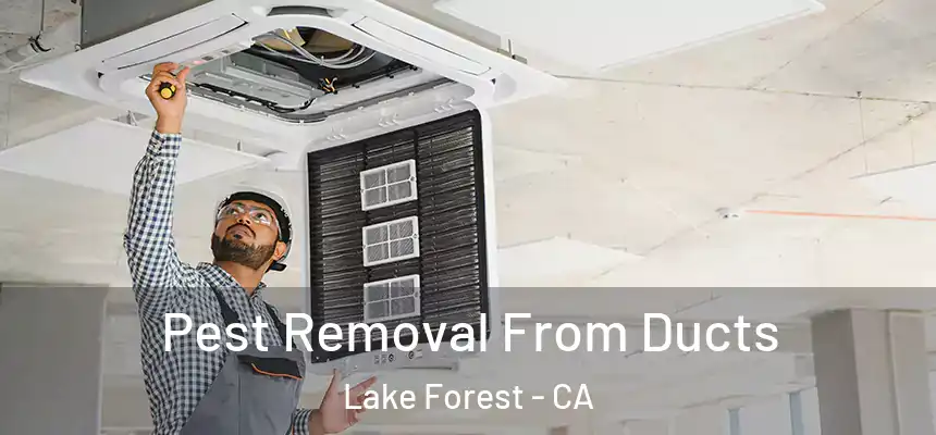 Pest Removal From Ducts Lake Forest - CA