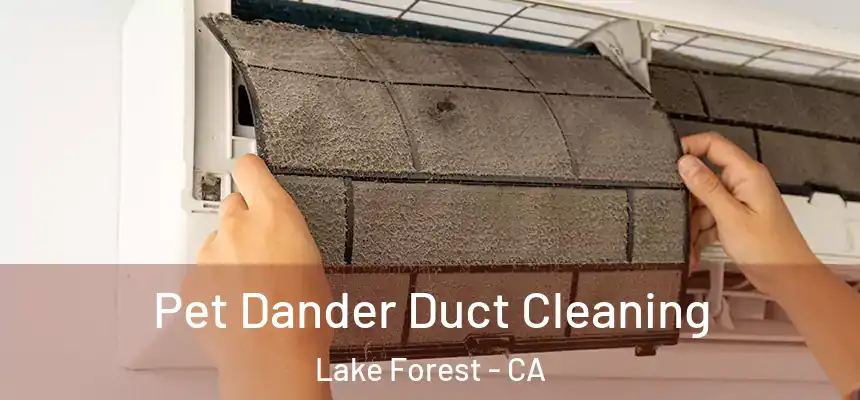 Pet Dander Duct Cleaning Lake Forest - CA