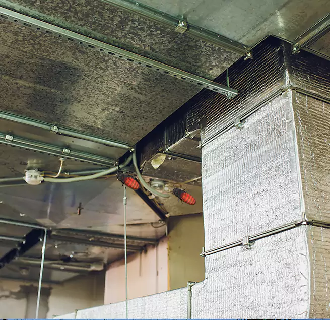 Why Homeowners & Businesses Trust Us in Lake Forest, CA?