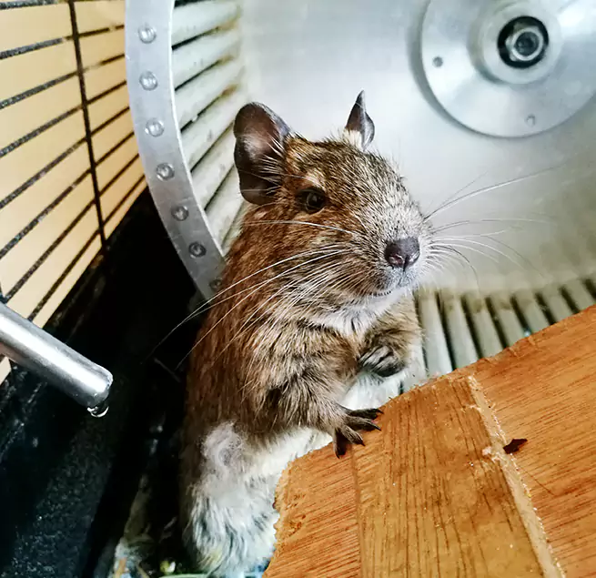 Why Homeowners & Businesses Trust Us Lake Forest, CA