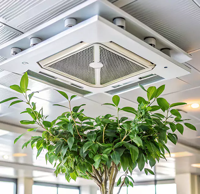 Why Homeowners & Businesses Trust Us in Lake Forest, CA?